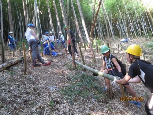 竹灯篭を作るための竹を切り出す（今年8月）