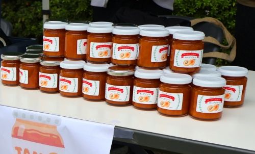179個すべて完売した三鷹ｷｬﾝﾊﾟｽの杏で作ったｼﾞｬﾑ
