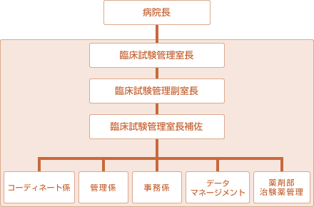 臨床試験管理室　組織図