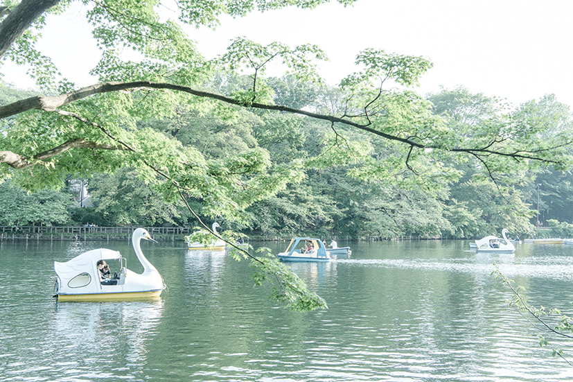 井の頭恩賜公園