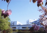 qLpX