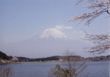 䂫ǂ