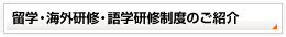���w�E�C�O���C�E��w���C���x�̂��Љ�