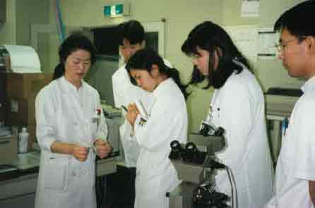 Small Group Learning (Photo)