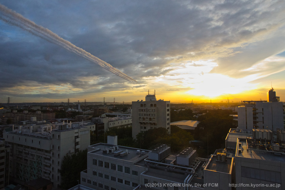 ブルーインパルス 三鷹市 2013年