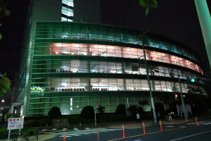 世界アルツハイマーデーライトアップ2