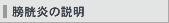 膀胱炎の説明