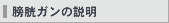 膀胱ガンの説明