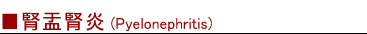 腎盂腎炎(Pyelonephritis)