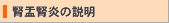 腎盂腎炎の説明