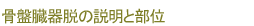 骨盤臓器脱の説明と部位