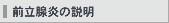 前立腺炎の説明