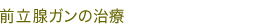 前立腺ガンの説明と部位