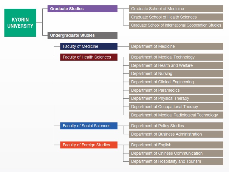 Physical Therapy Organizational Chart