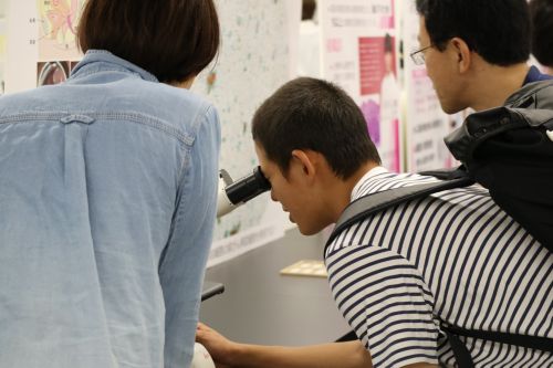 臨床検査技術学科の体験実習