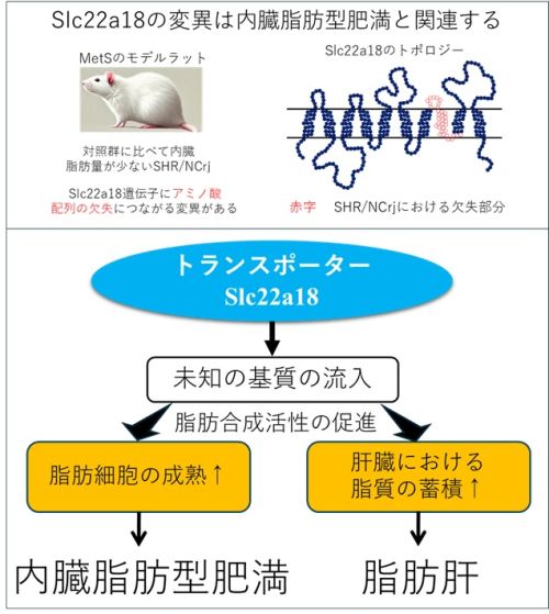 図1