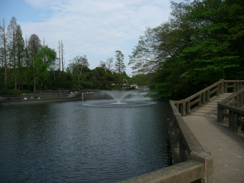 井の頭公園