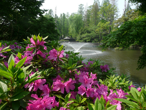 井の頭公園