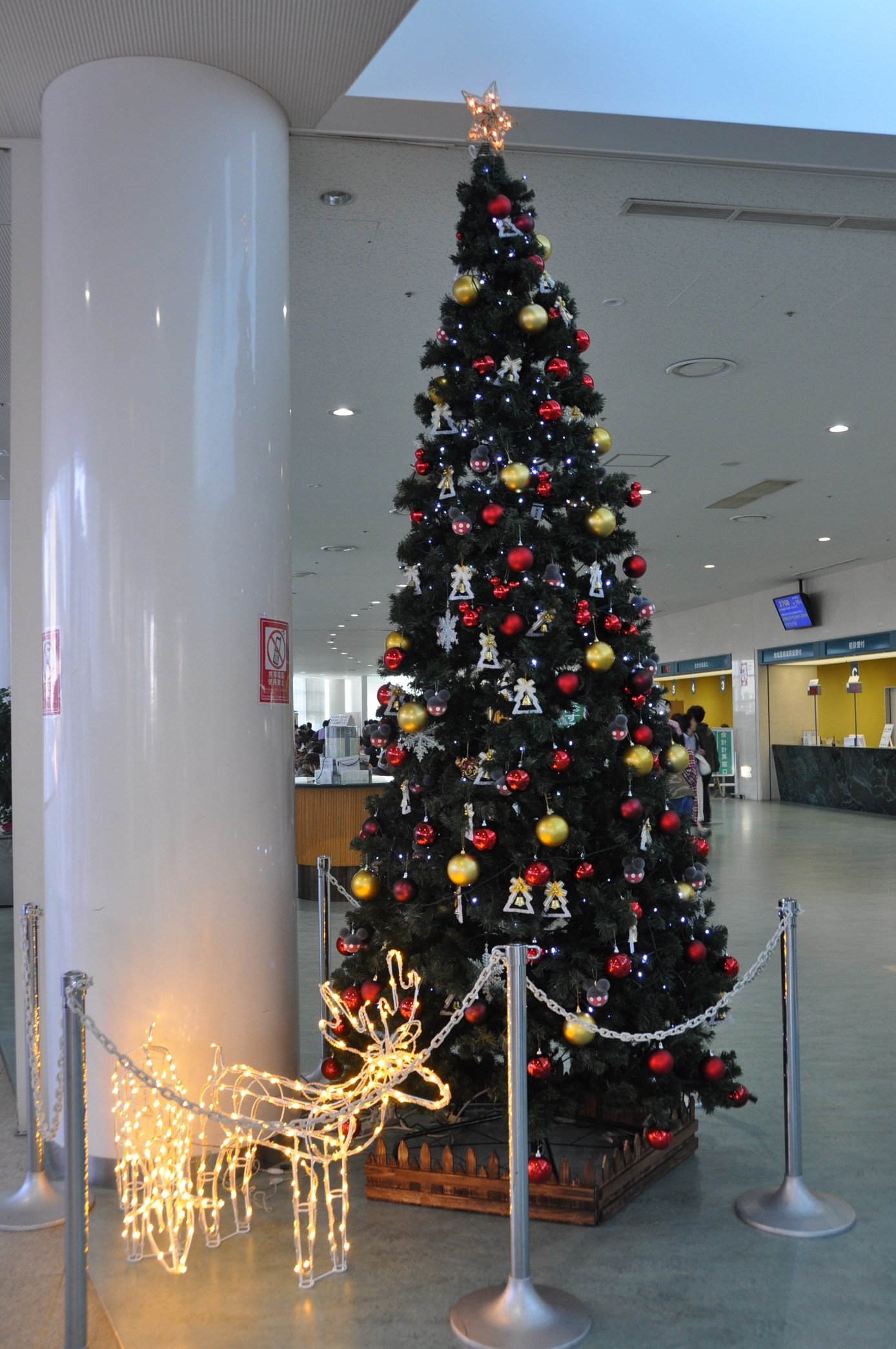外来棟待合ロビーにクリスマスツリーを飾りました お知らせ 病院 診療科について 杏林大学医学部付属病院 Kyorin University Hospital 外来棟待合ロビーにクリスマスツリーを飾りました お知らせ 病院 診療科について 杏林大学医学部付属病院 Kyorin University Hospital