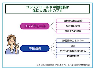 脂質 異常 症 症状