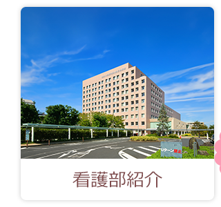 看護部案内