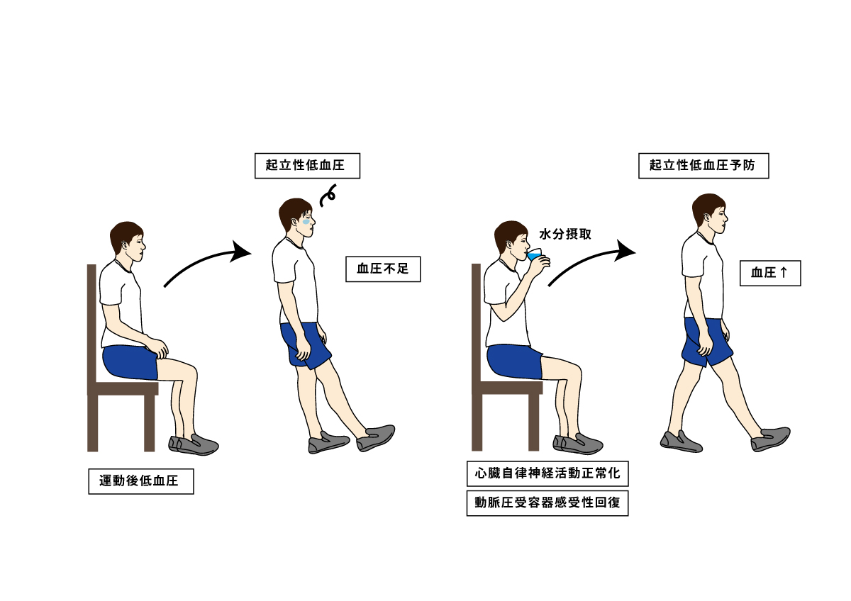急性の水分摂取が運動後の起立性低血圧および心循環動態に及ぼす影響 ― 健康な成人における心拍変動と動脈圧受容器感受性の急性改善 ― | 保健 ...