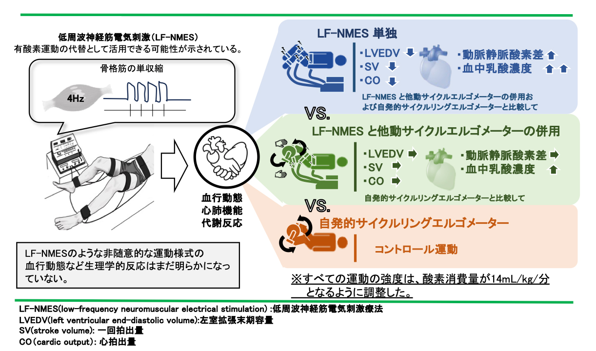 低周波神経筋電気刺激療法と他動サイクルエルゴメーターの