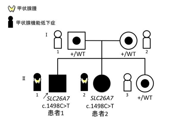 概念図2