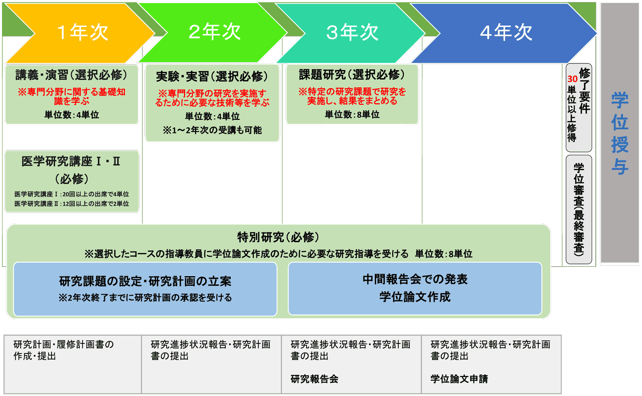 履修モデル