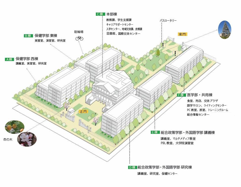 井の頭キャンパス 杏林大学