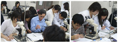 histology1.jpg