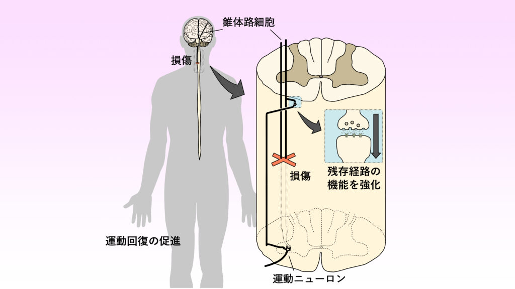 図表